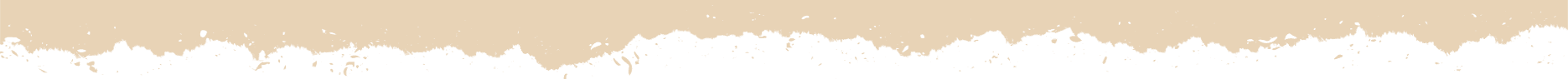 bottom_dark