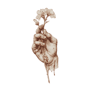Ein Toreador hält eine zarte Blume in seiner blutigen Hand Ein Toreador hält eine zarte Blume in seiner blutigen Hand